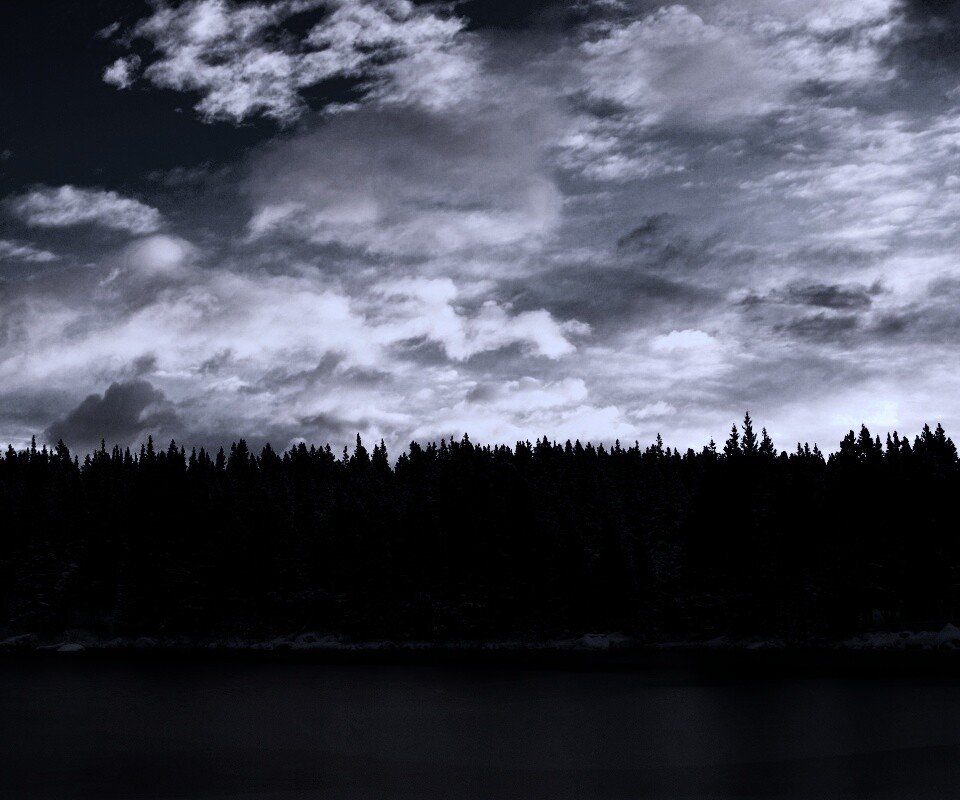 Лес на озере обои