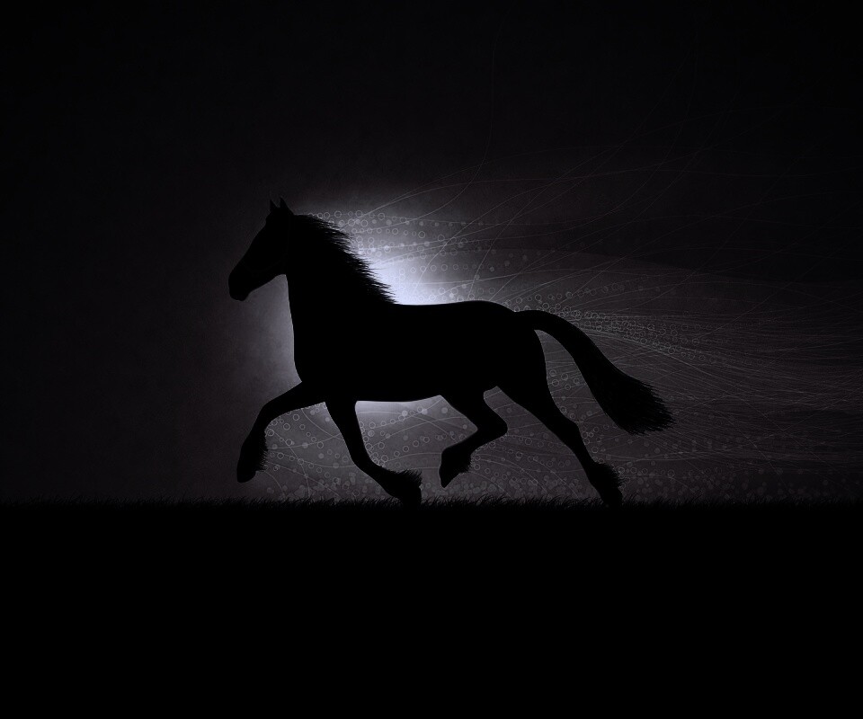 Силует коня на закате обои