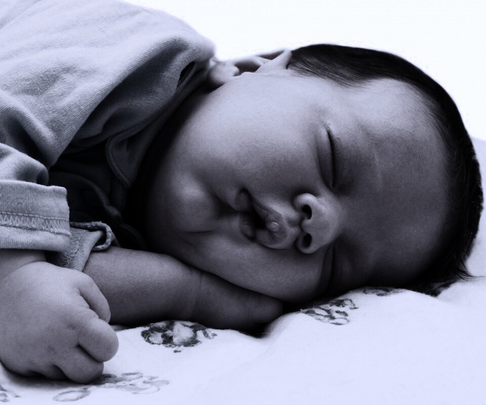 Спящая прелесть обои