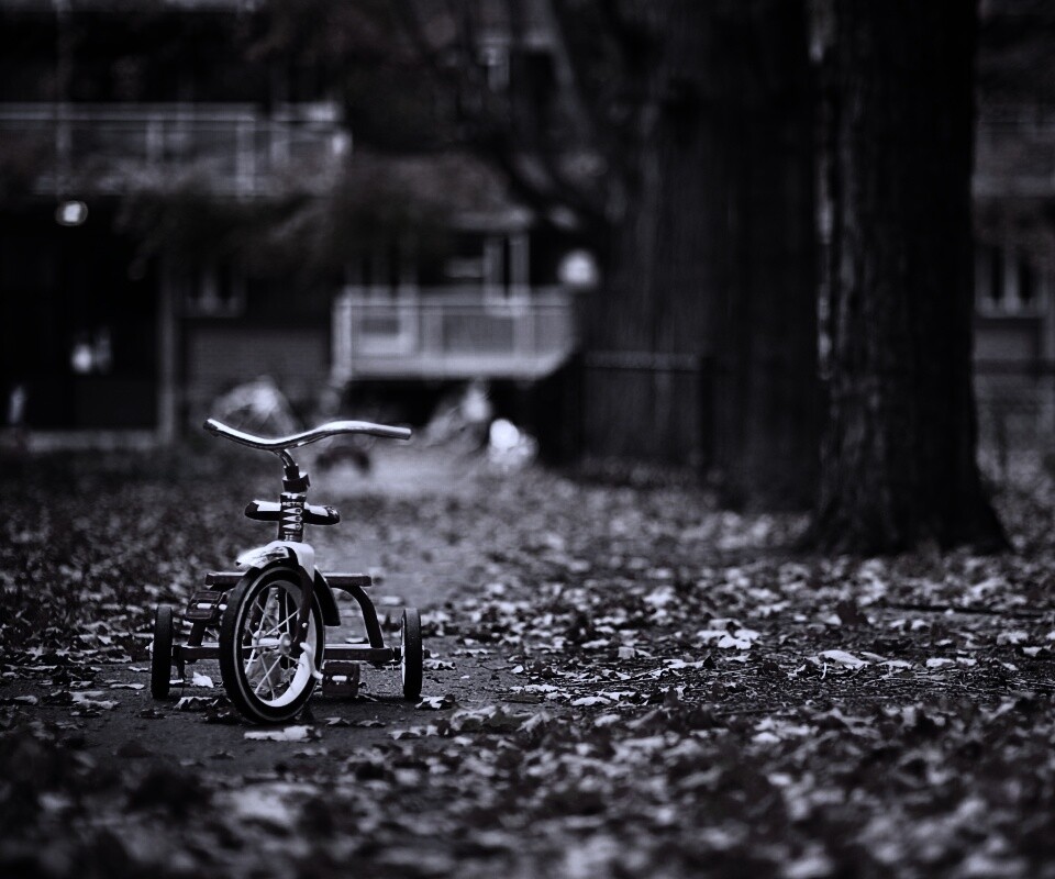 Трёхколёсный друг на осенней дорожке обои