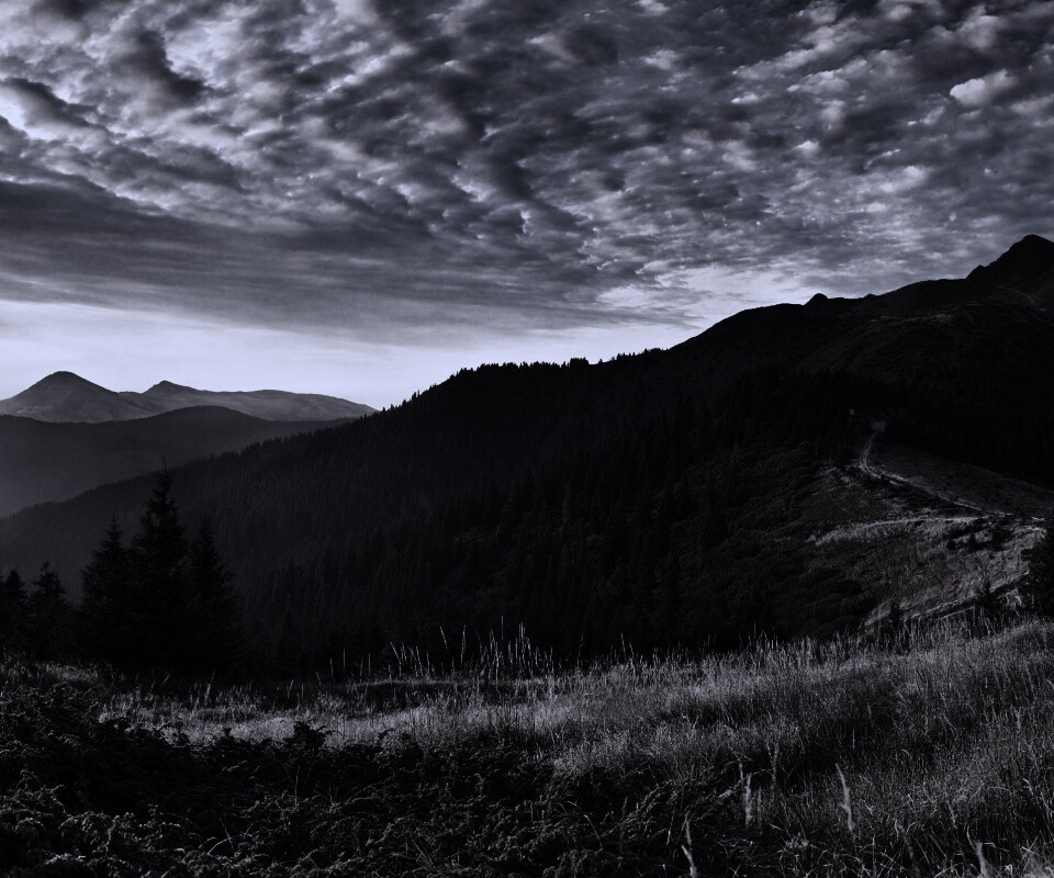 Предгорье обои