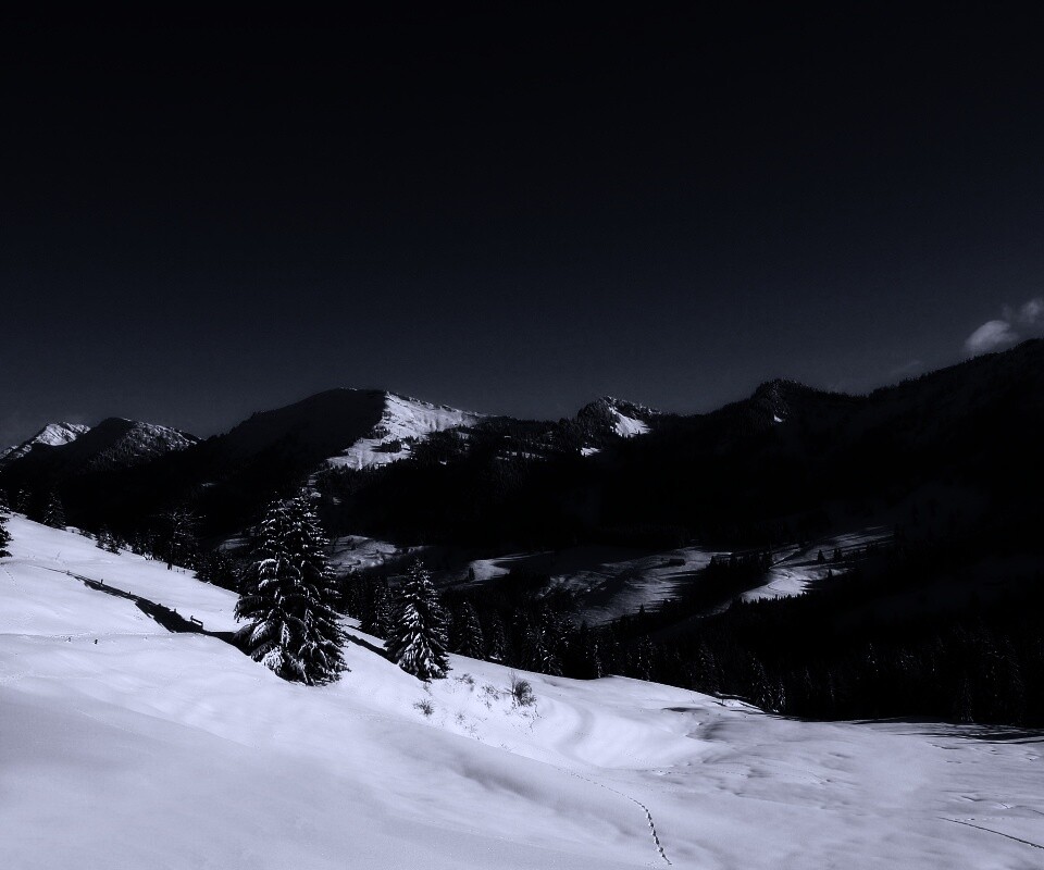 Лес в горах обои