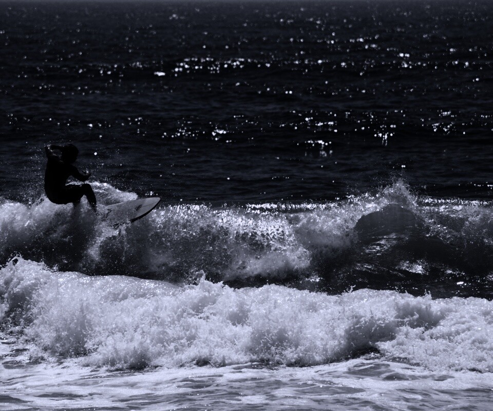 Сёрфенгист поймал волну обои