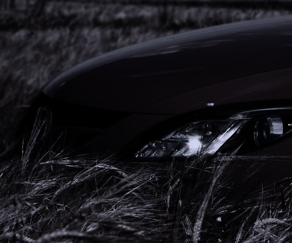 Мазда в пшенице обои