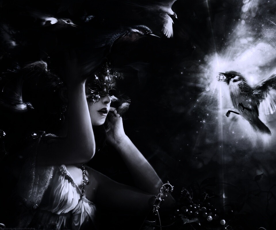 Птицы счастья обои