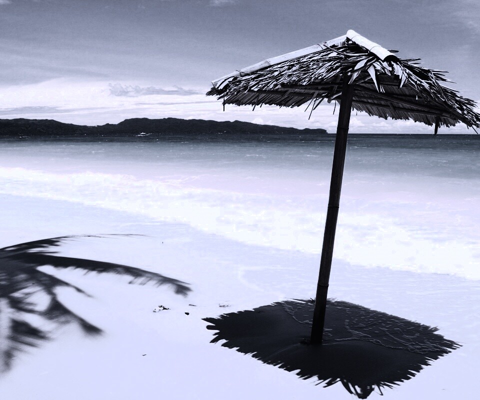 Тросниковый зонт обои