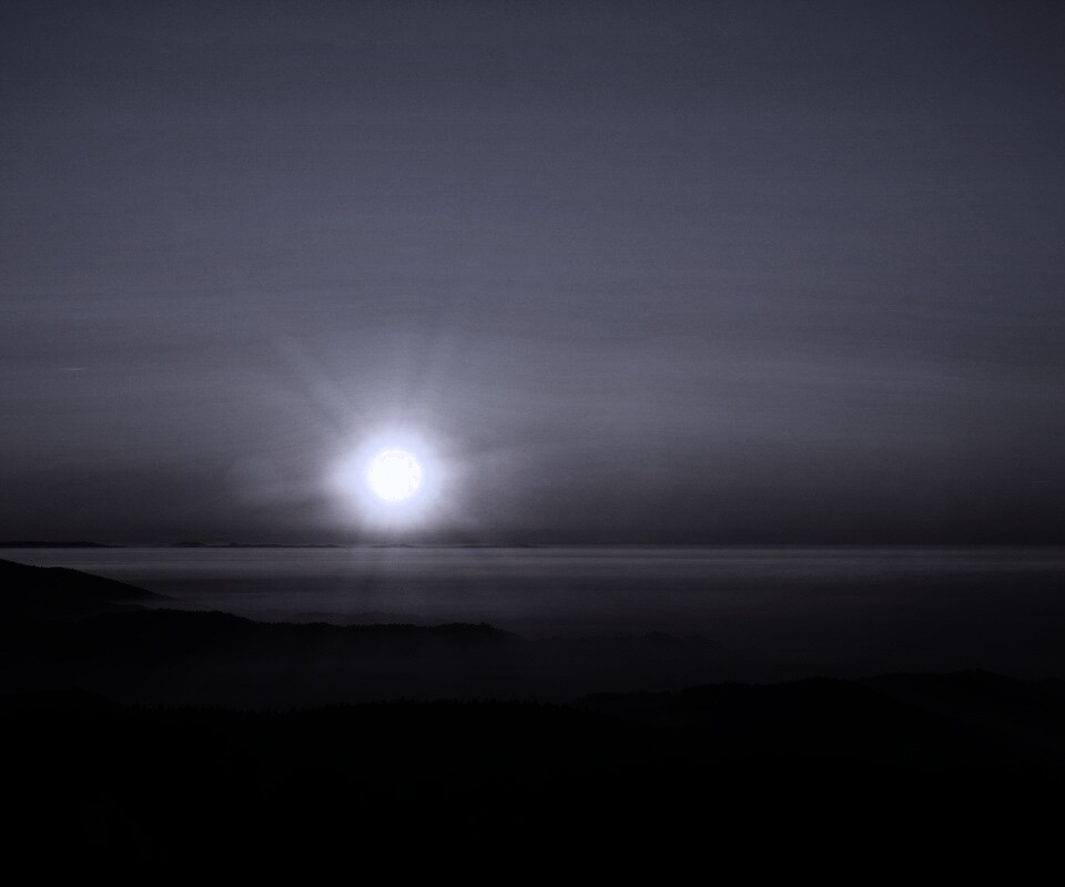 Восход солнца над лесом обои