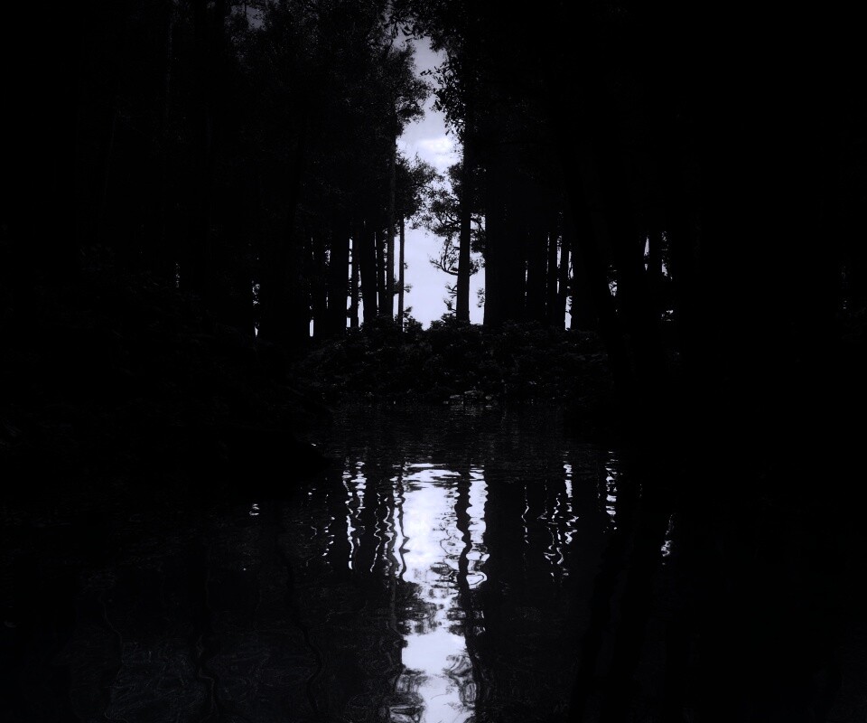 Болото в лесу обои