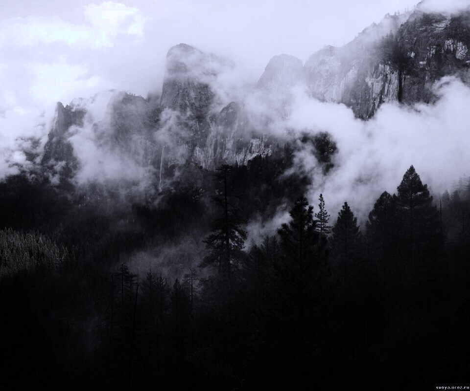 Туман в горах обои