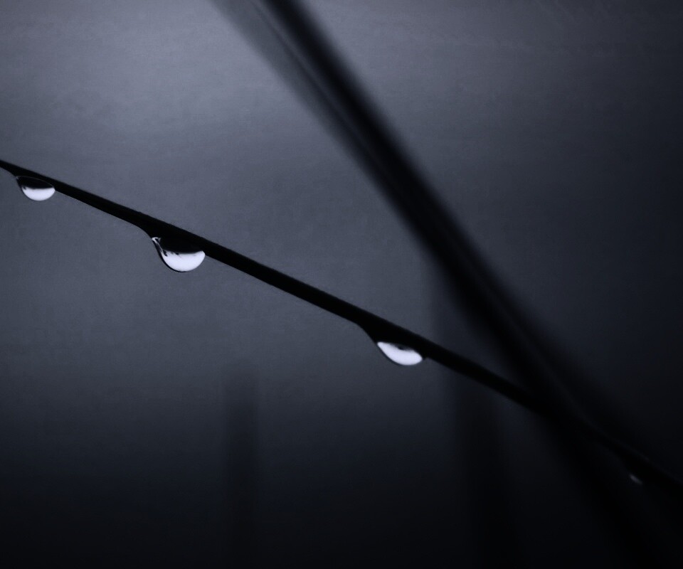 Трава после дождя обои