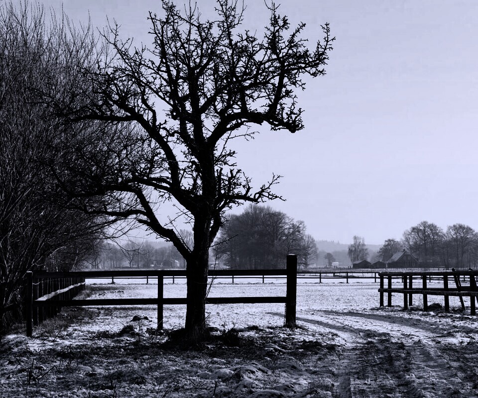 Зимний пейзаж обои