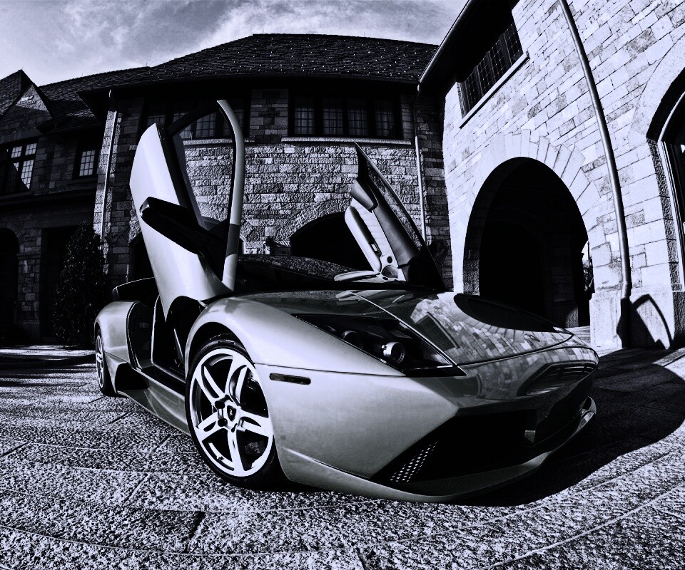 Зеленая ламба обои