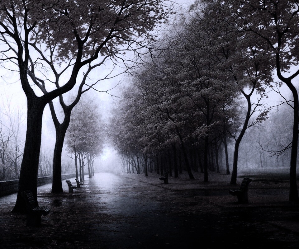 Дорога в осень обои