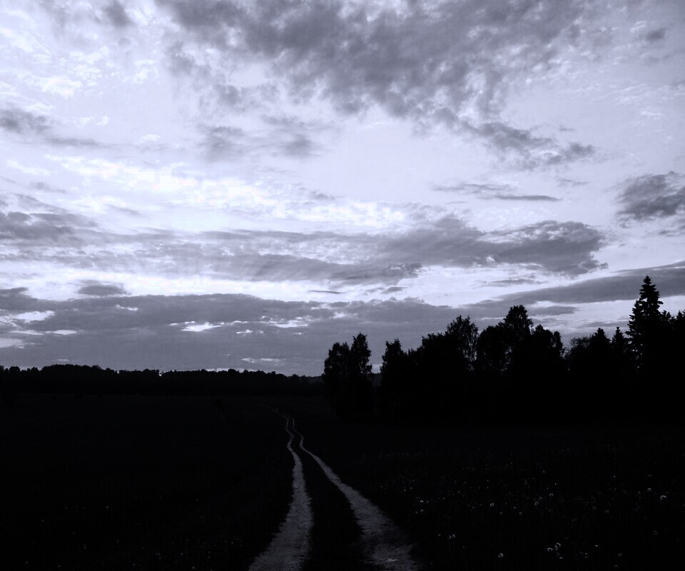 Дорога к лесу обои