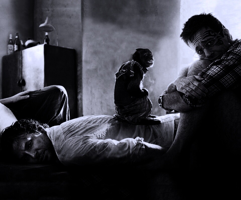 Мальчишник 2 из Вегаса в Банкок обои