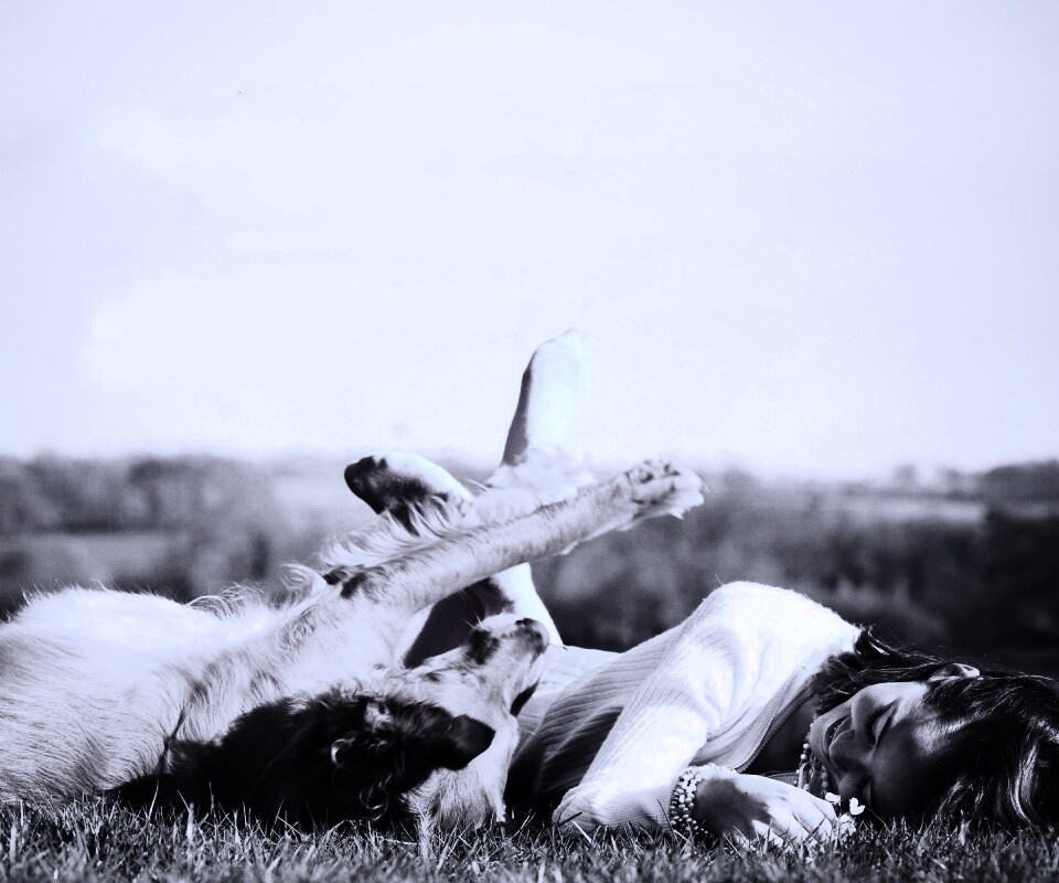 Девушка и собака валяются на траве обои