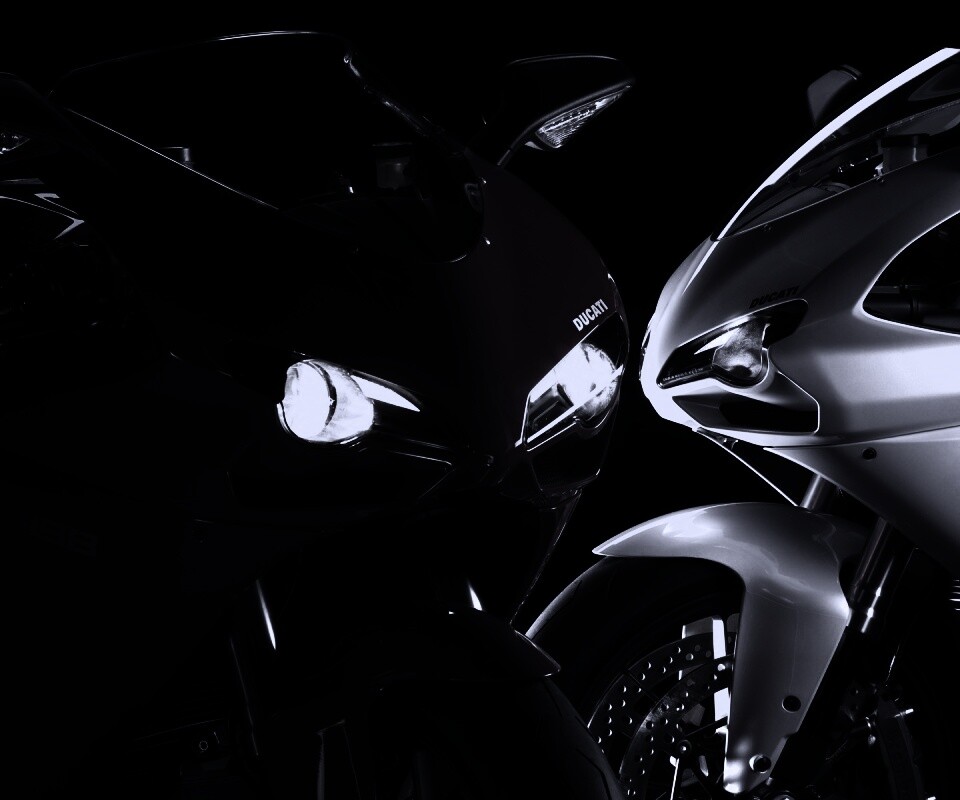 Красавцы  обои