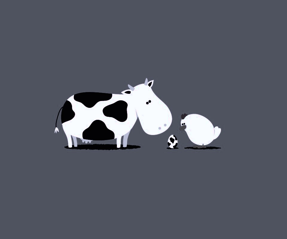 Конфуз обои