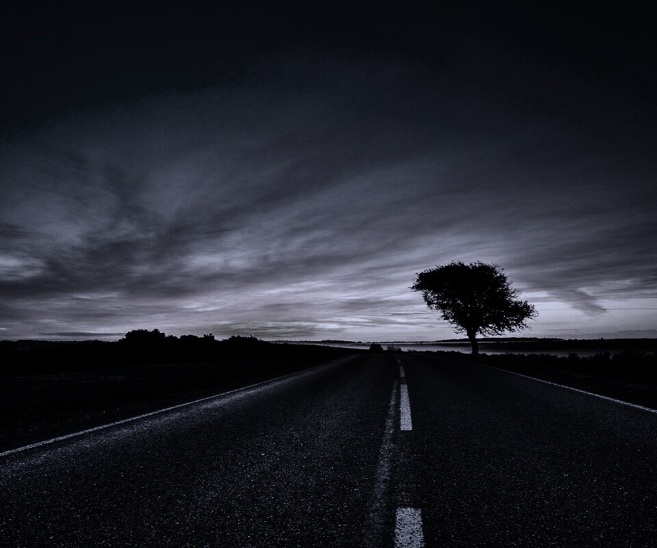 Дорога обои