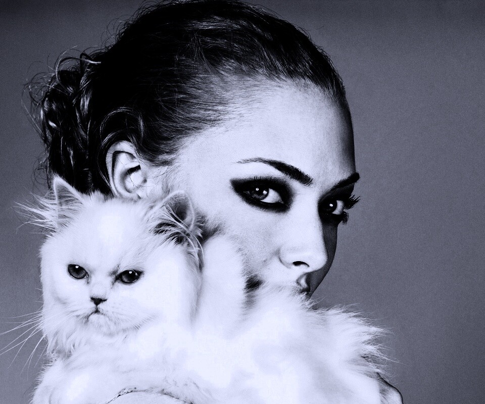 Девушка с кошкой обои