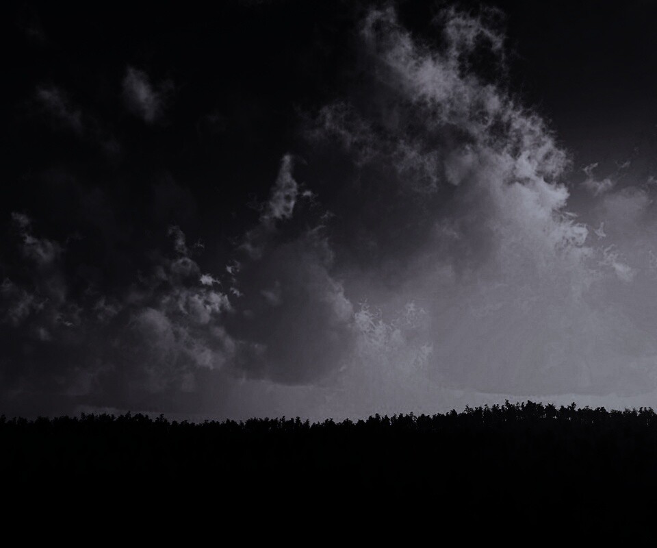 Закат над лесом обои