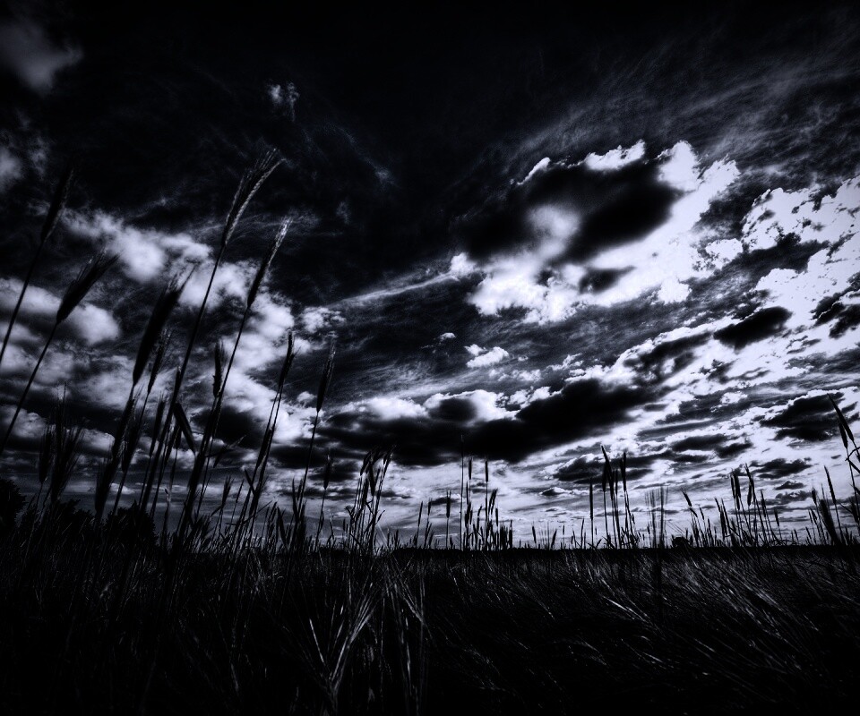 HDR Поле обои