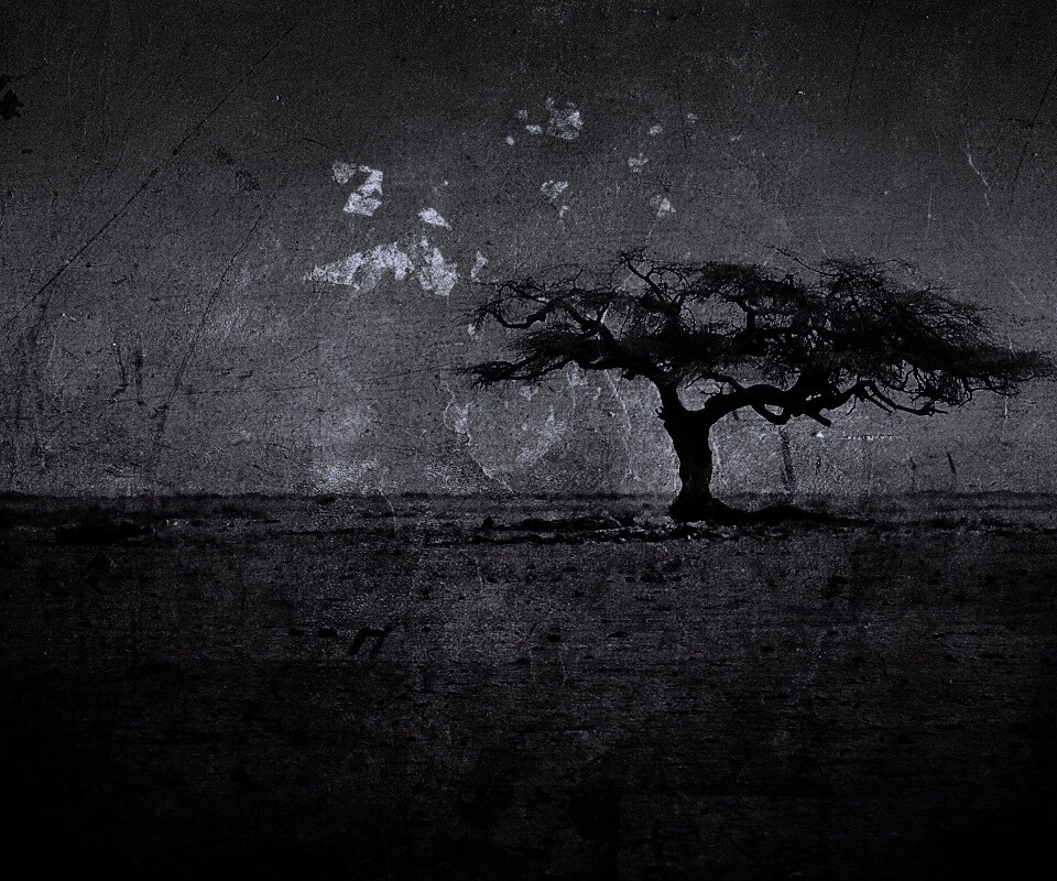 Гранжевое дерево в саванне обои