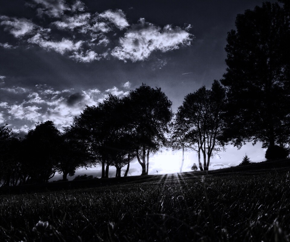 Лучи солнца на траве обои