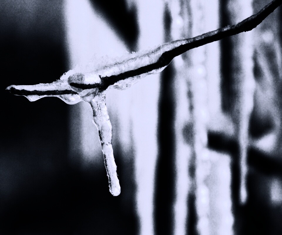 Сосуля обои