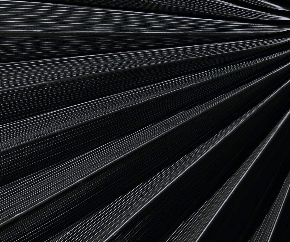 Зеленый пальмовый лист обои