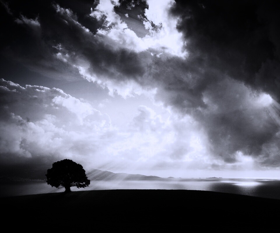 Холм и дерево обои