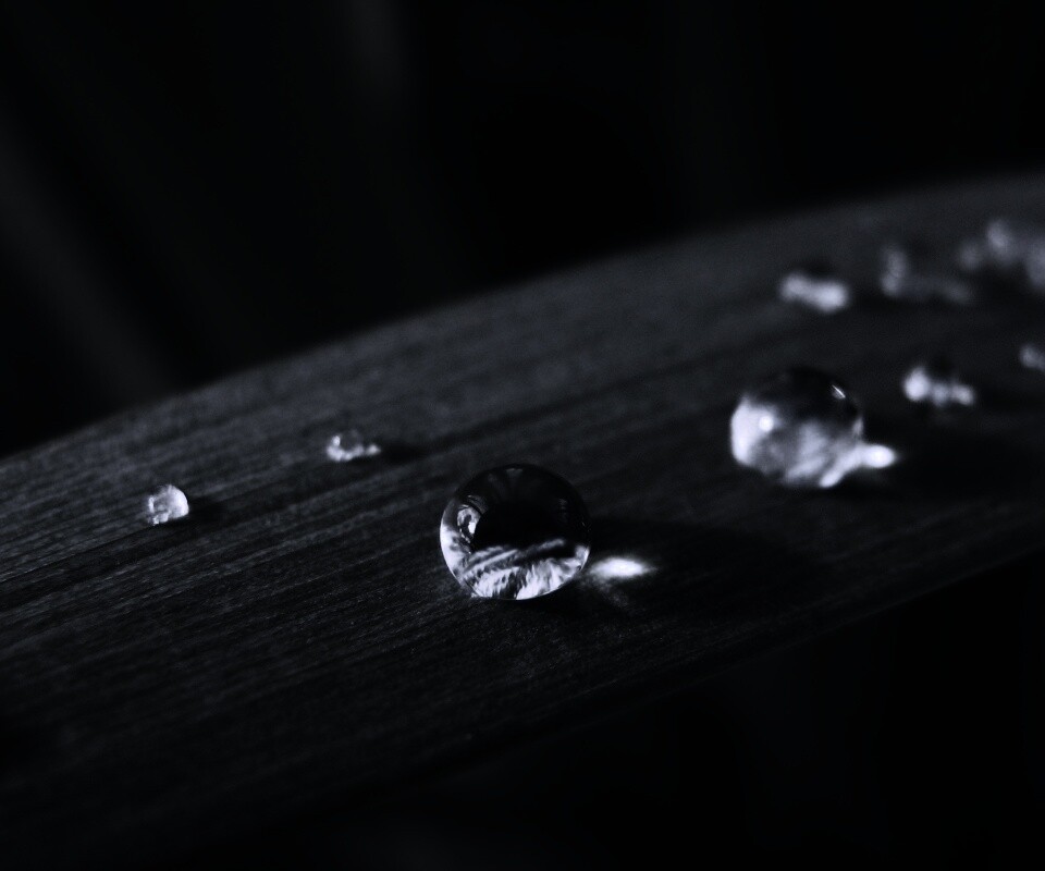 Капли росы на листе обои