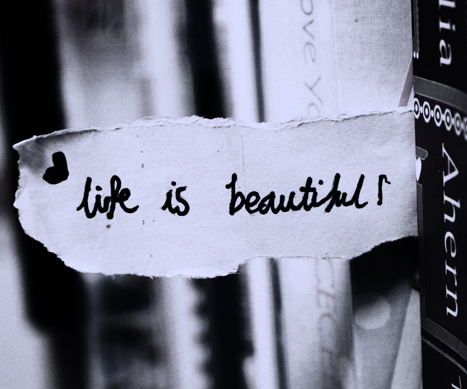 Жизнь прекрасна обои