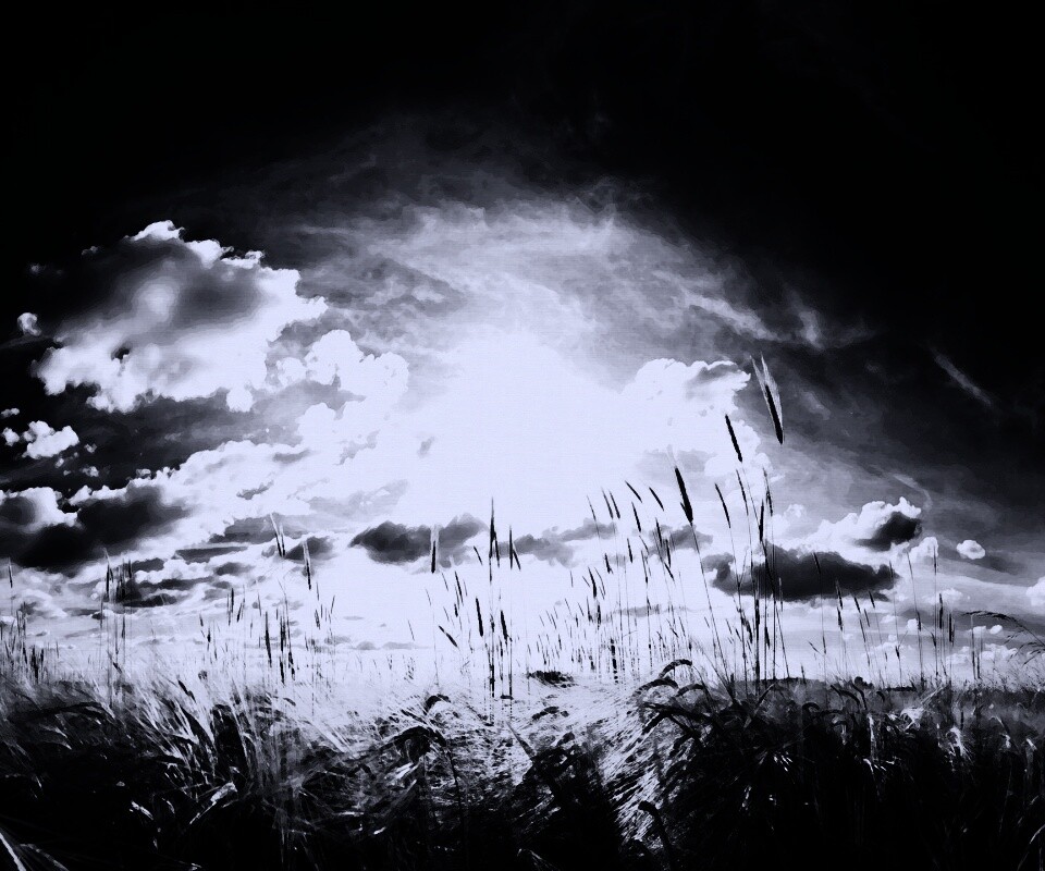 Сюрреалистичная трава обои