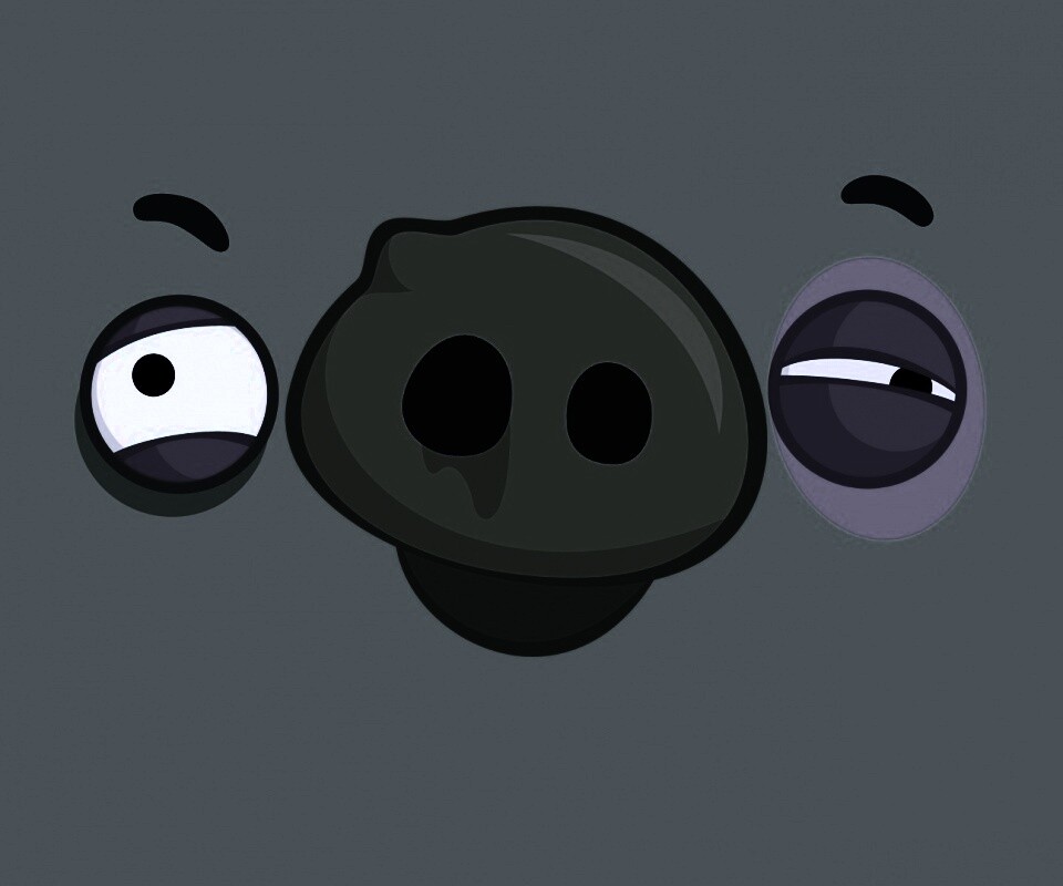 Свинья из Angry Birds обои