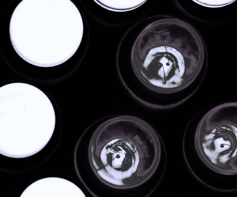 Маленькие лампочки обои