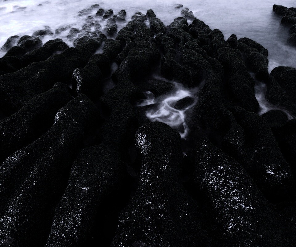 Заросший берег обои