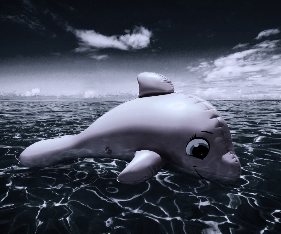 Надувной розовый дельфин обои