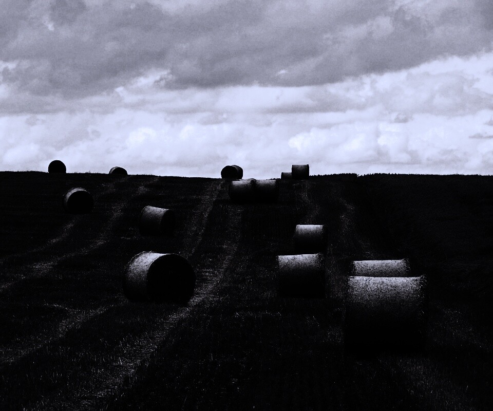 Уборка сена с поля обои