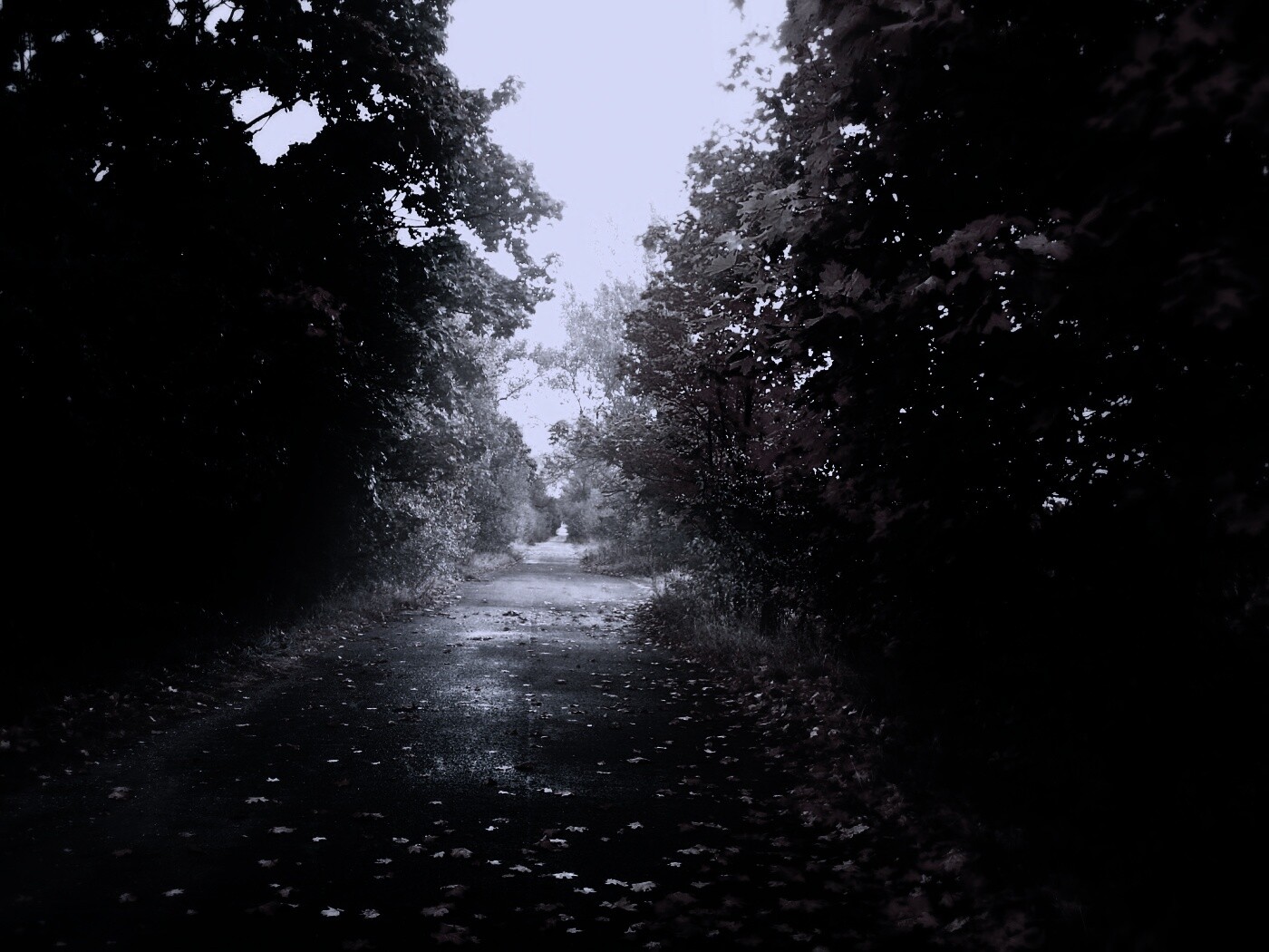 Желтая дорога обои