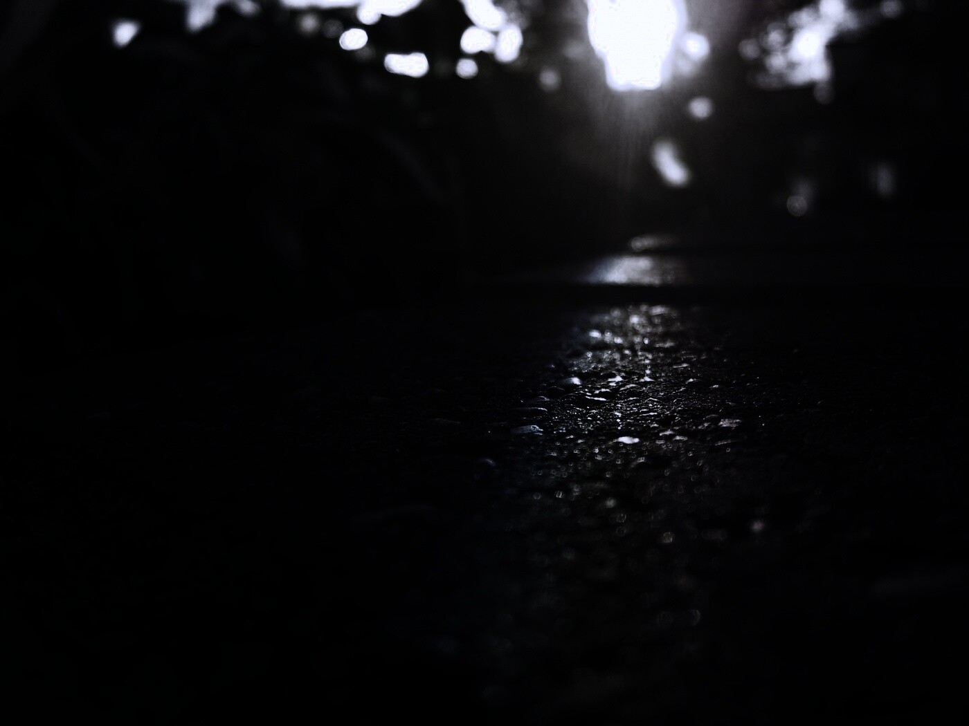 Макро радуга на камне обои