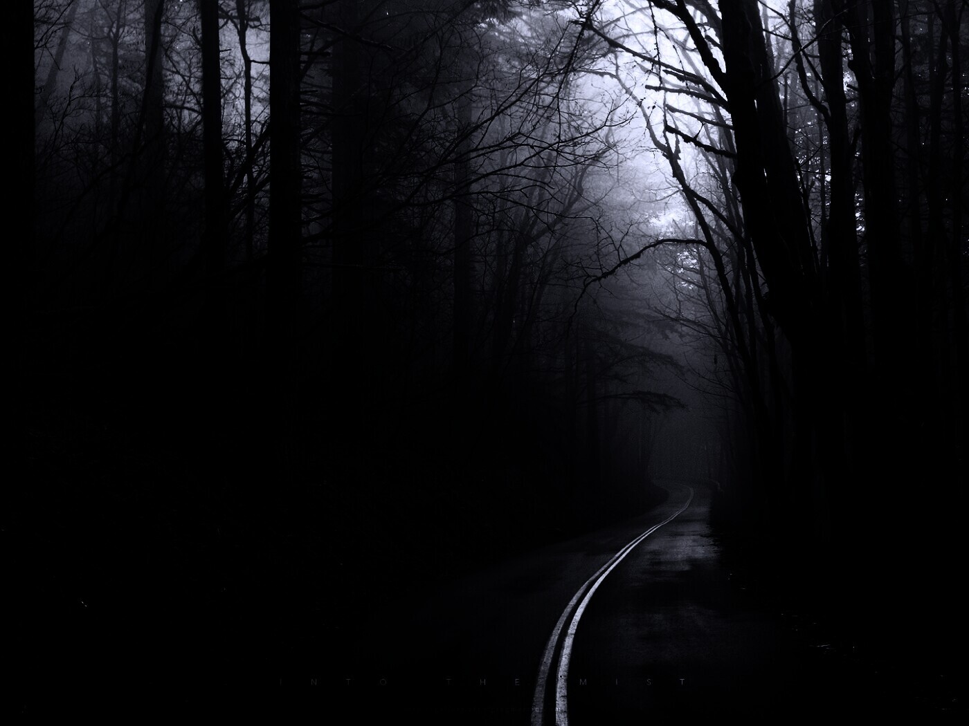 В туман обои