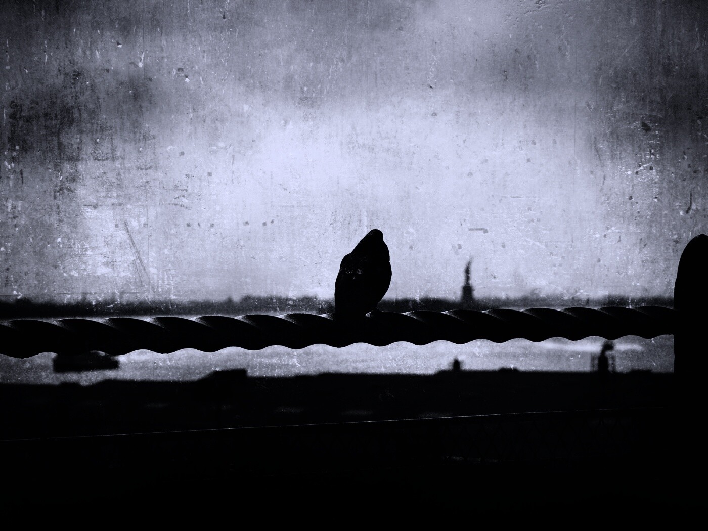 Голубь в Нью-Йоркских доках обои