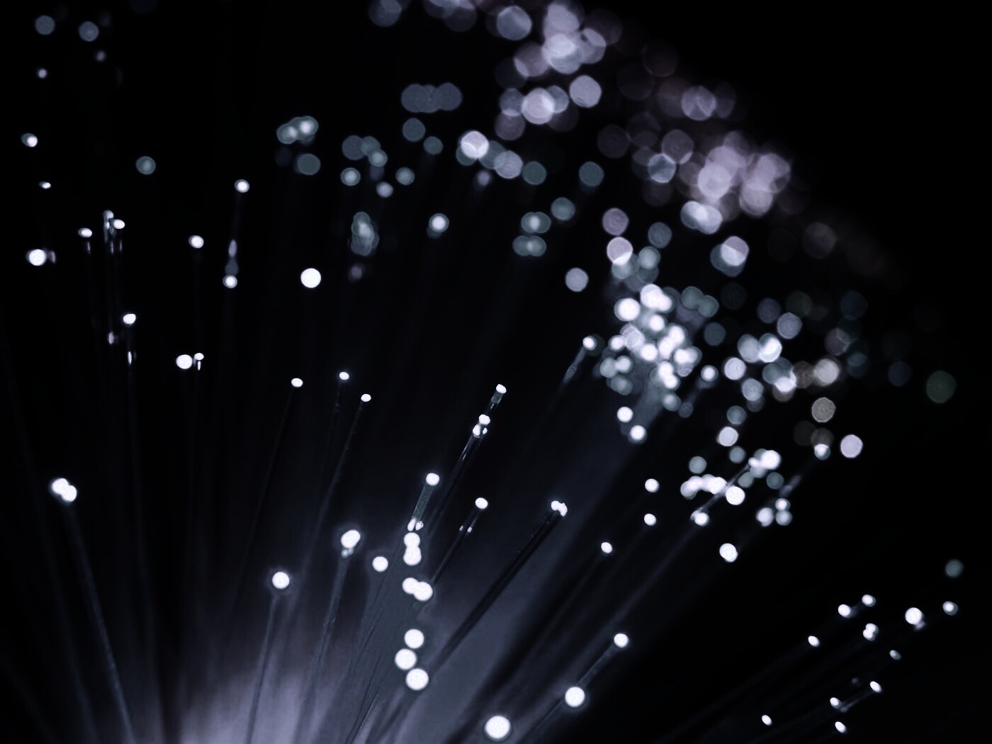 Огоньки на оптоволокне обои