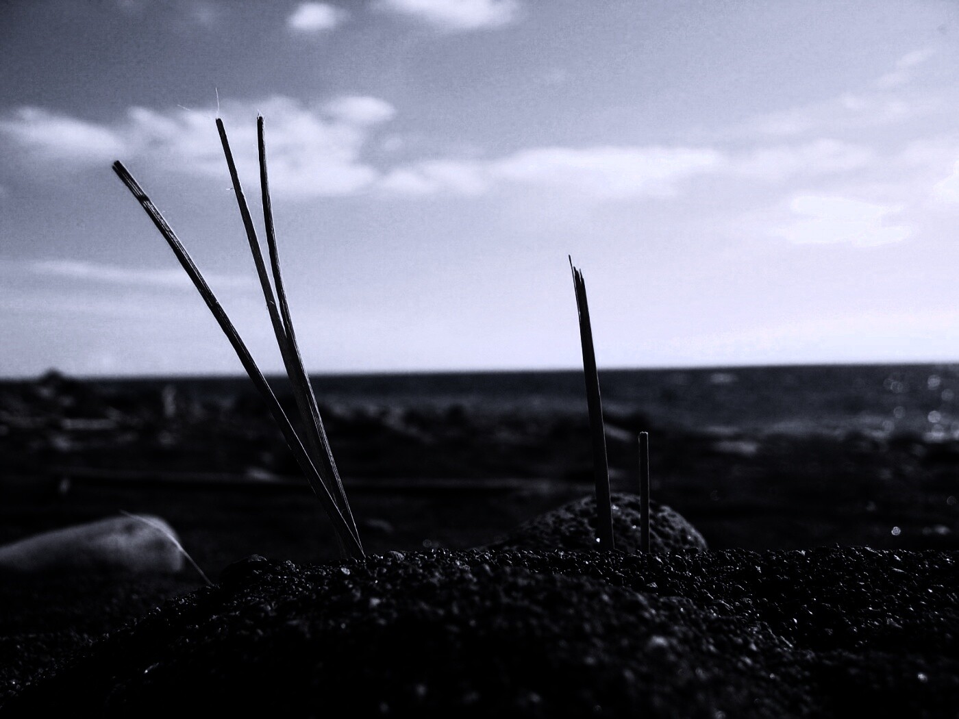 Солома на океанском берегу обои