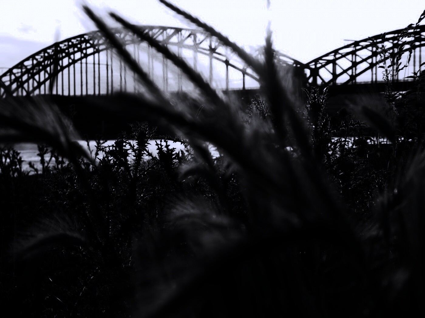 Железнодорожный мост обои