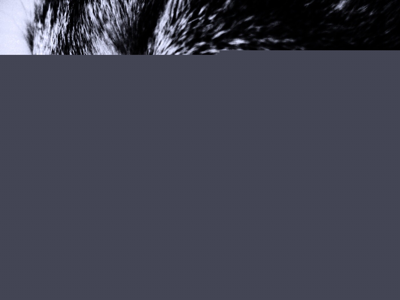 Кошачий глаз обои