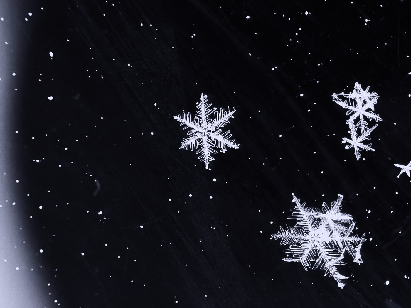 Снежинки обои