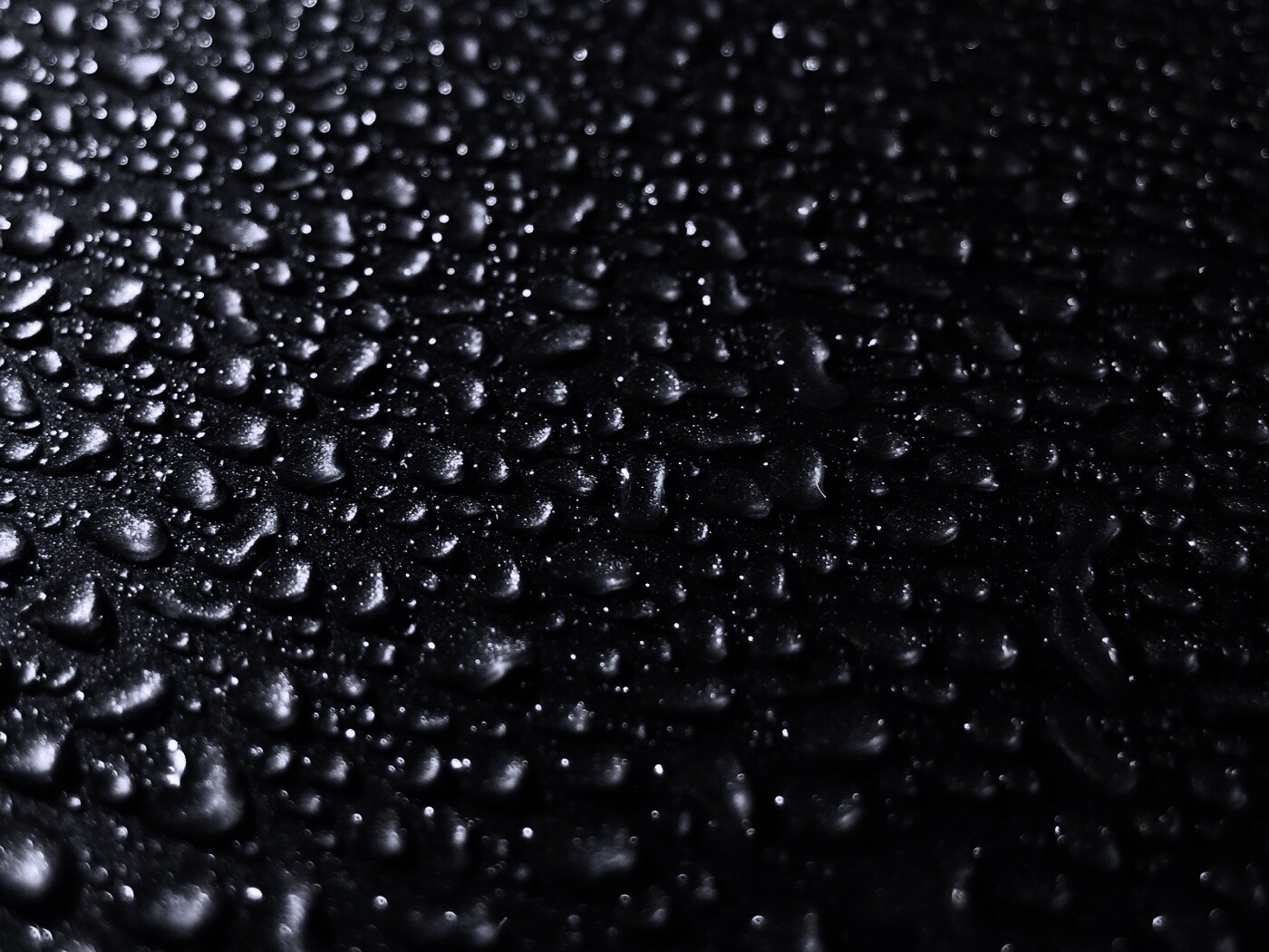 Вода собирается в капли обои