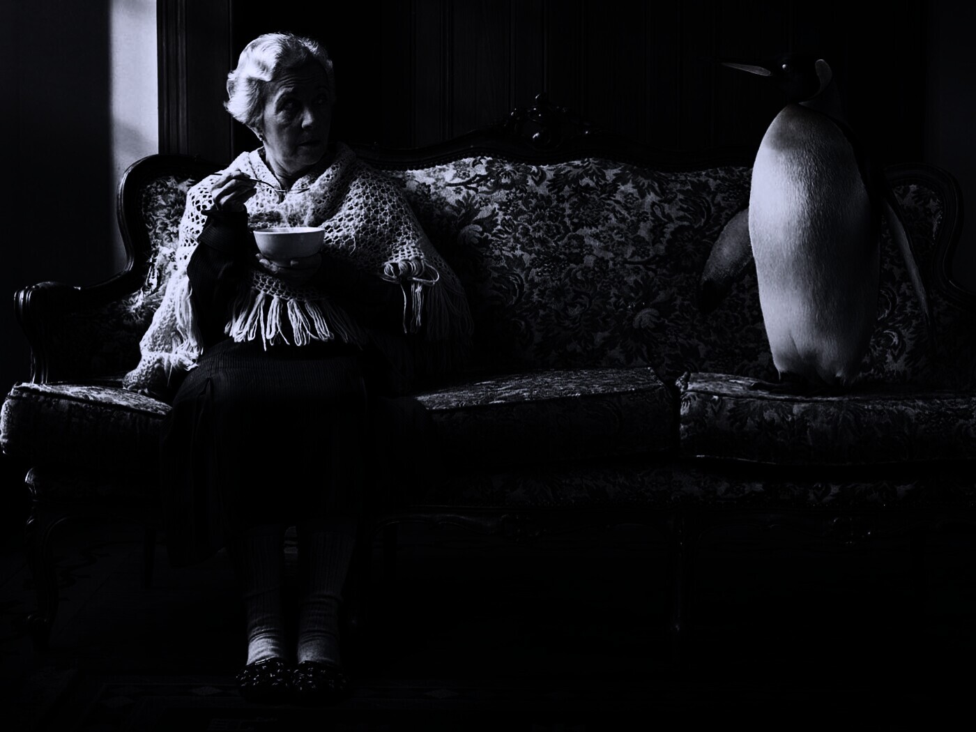 Соседи по дивану обои